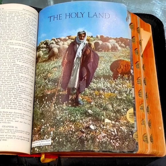 The Holy Bible Golden Book Edition - Picture 4 of 6